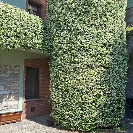 بيت للعطل Casa Il Gelsomino *